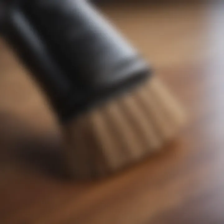 Close-up of a vacuum cleaner's brush roll specifically designed for pet hair