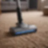 Powerful pet vacuum cleaner in action removing pet hair from carpet