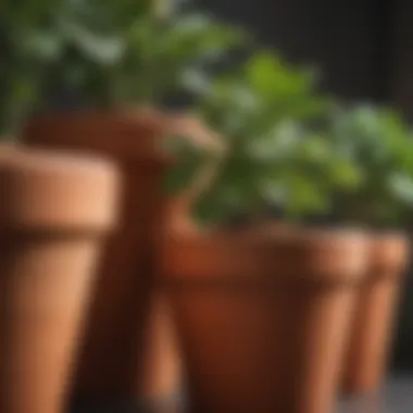 Close-up view of terracotta strawberry plant pots showcasing their texture and color.