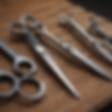 Variety of Dog Grooming Scissors Close-up of different types of grooming scissors, emphasizing their unique features.