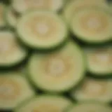 A vibrant zucchini sliced showcasing its texture and color