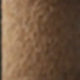 Close-up of a sisal scratching post showing texture and durability