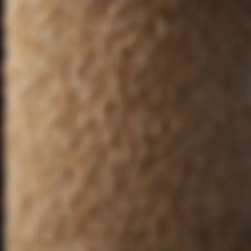 Close-up of a sisal scratching post showing texture and durability