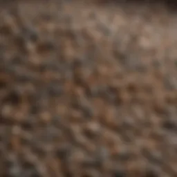 Close-up of hard clumping litter showcasing its texture and granules
