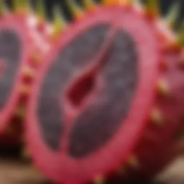Sunlight Exposure for Dragon Fruit Sunlight exposure for healthy dragon fruit growth