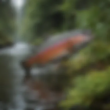 Natural Habitat of Steelhead Trout An intricate view of steelhead trout in their natural habitat, surrounded by lush aquatic vegetation.