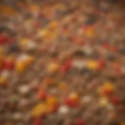 A close-up view of various wet cat food ingredients, showcasing their textures and colors