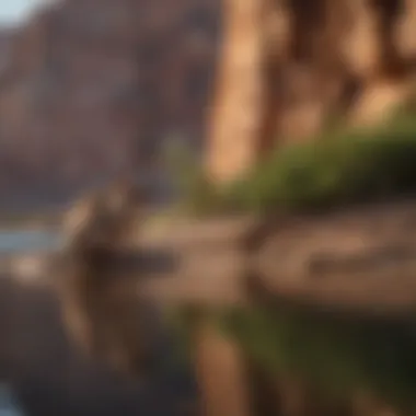 Wildlife thriving in the ecosystems surrounding Lake Powell, illustrating biodiversity