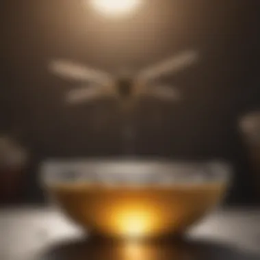 Gnat Attraction to Vinegar A close-up of a gnat hovering near a bowl of vinegar.