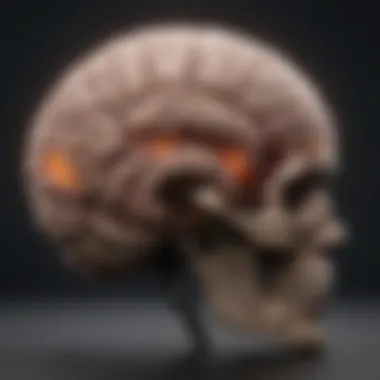 Brain Activity During Cognitive Tasks An advanced brain scan image depicting active brain areas during cognitive tasks.